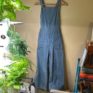Billabong Railroad Stripe Blue Women's Jeans Overalls